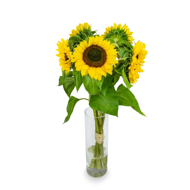Bouquet of sunflowers